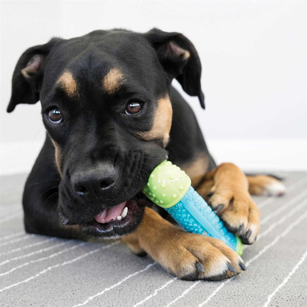 Dog Toy U39098