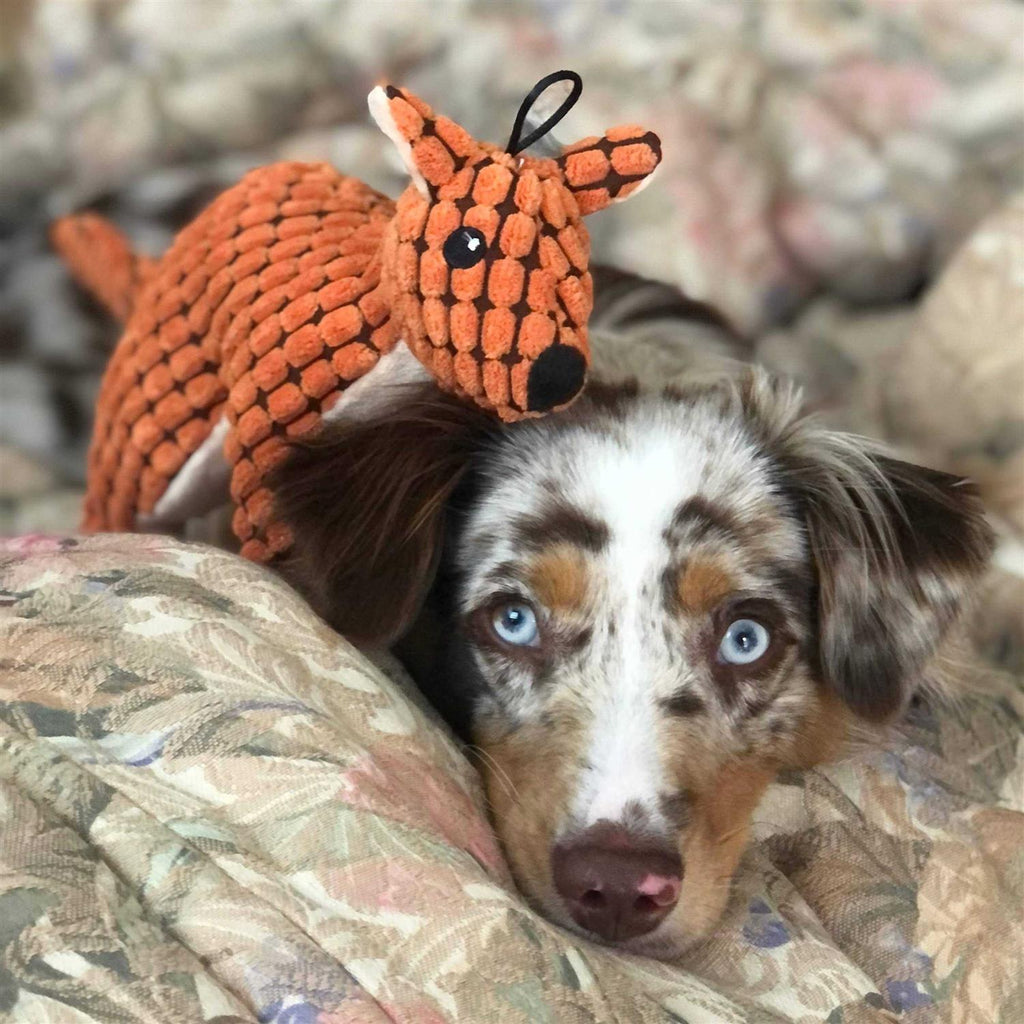 Stuffed Plush Squeaky Dog Toy X680911