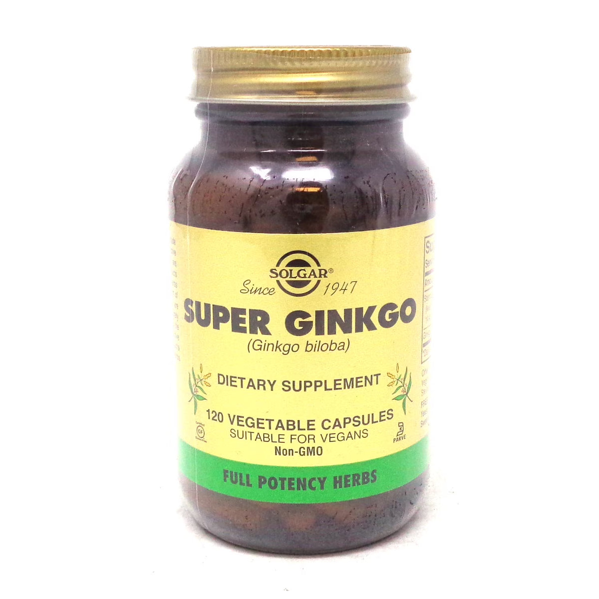 120 V Caps Ginkgo Supplement X22021