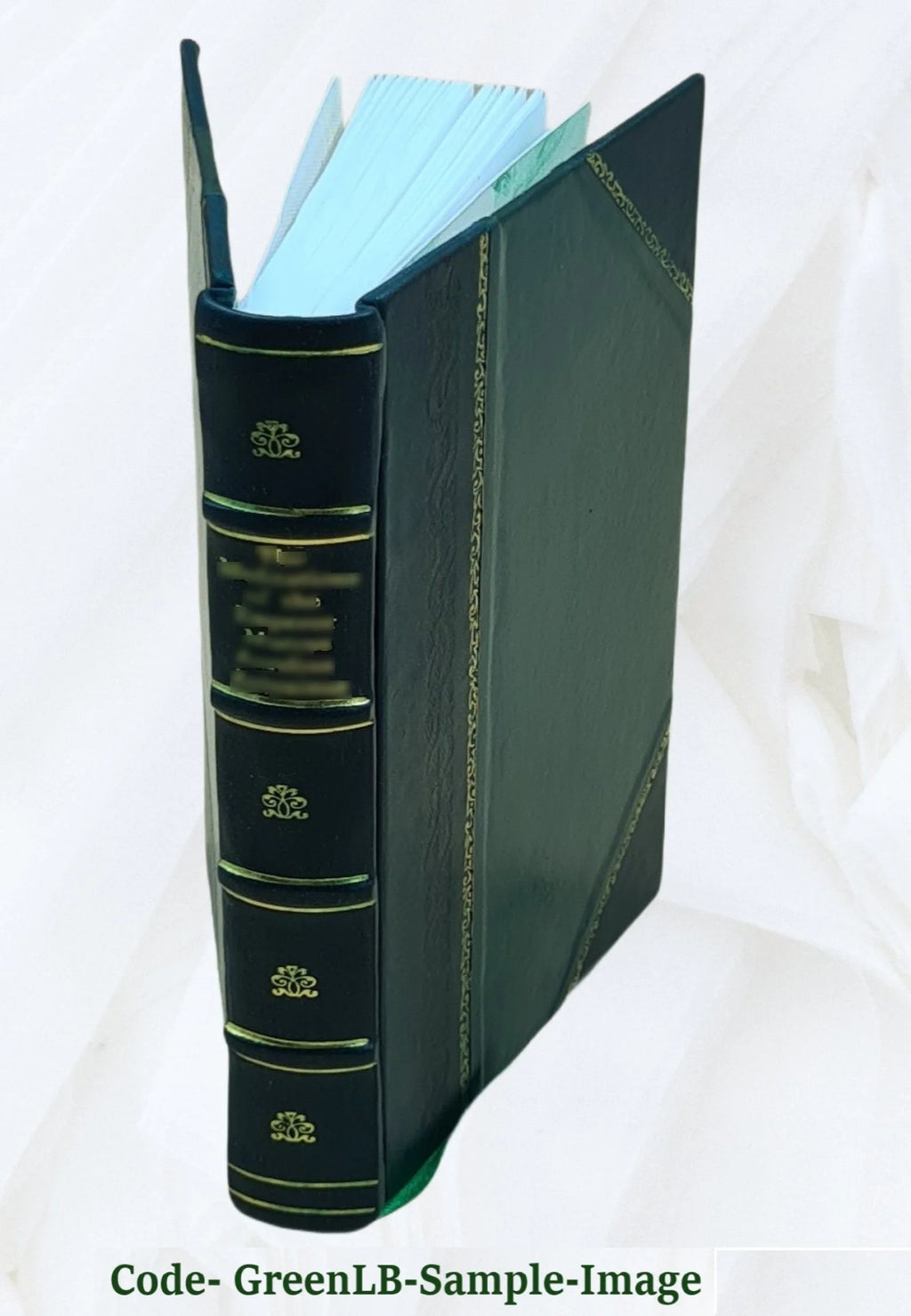 Leather Bound Book M353964