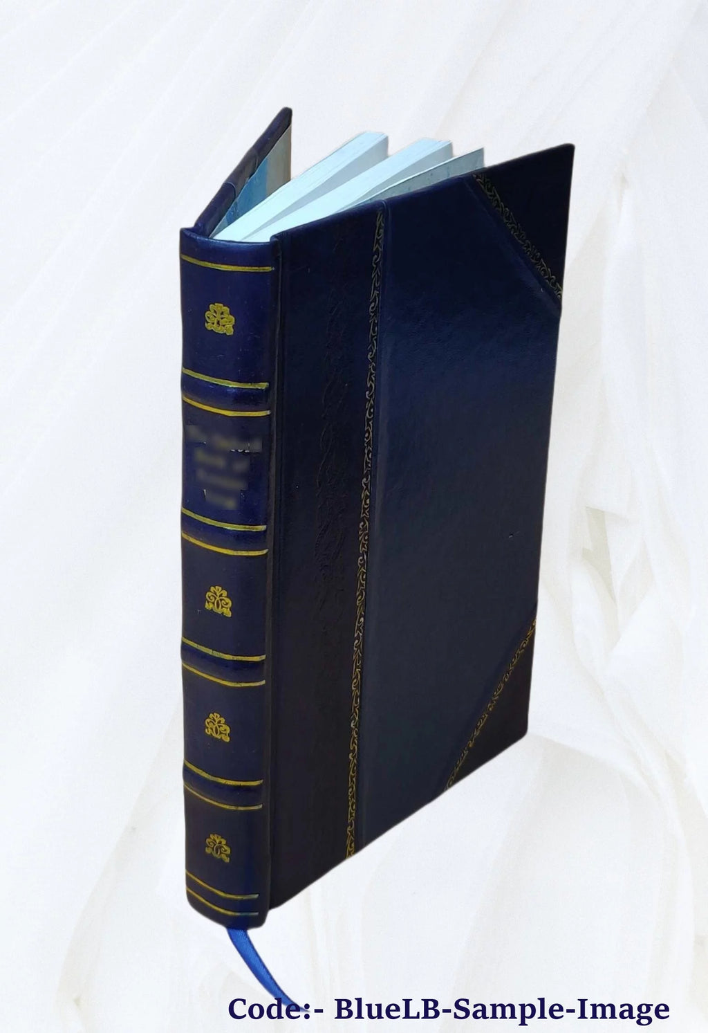 Civil War Leather Bound Y256453