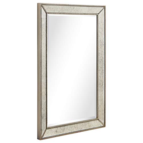 1"-Beveled Center Antique Mirror, Solid Wood Frame, 24" x 54", Champagne J651347