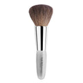 Brush A553255