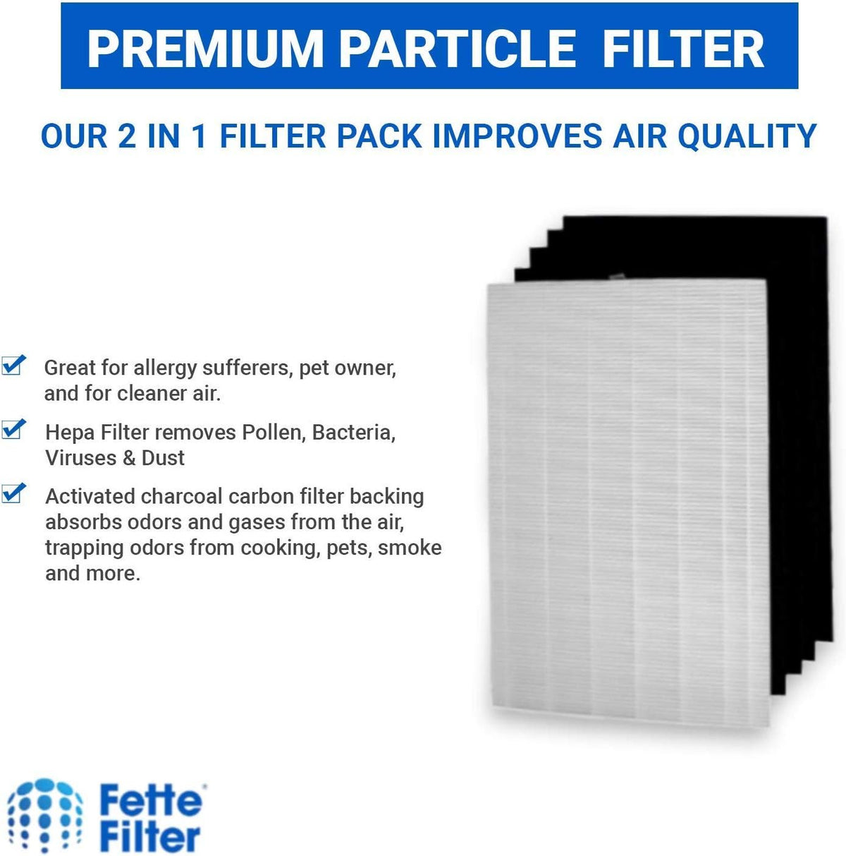 2 HEPA Filters + 8 Carbon Filters for Air Purifiers A31879