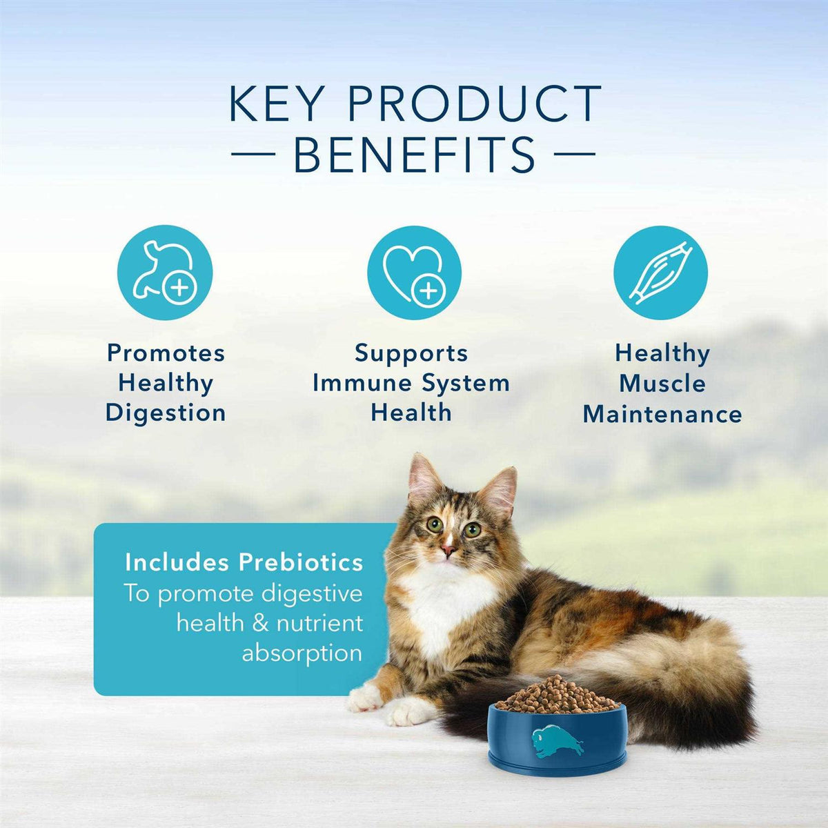 Adult Cat Dry Food O1157