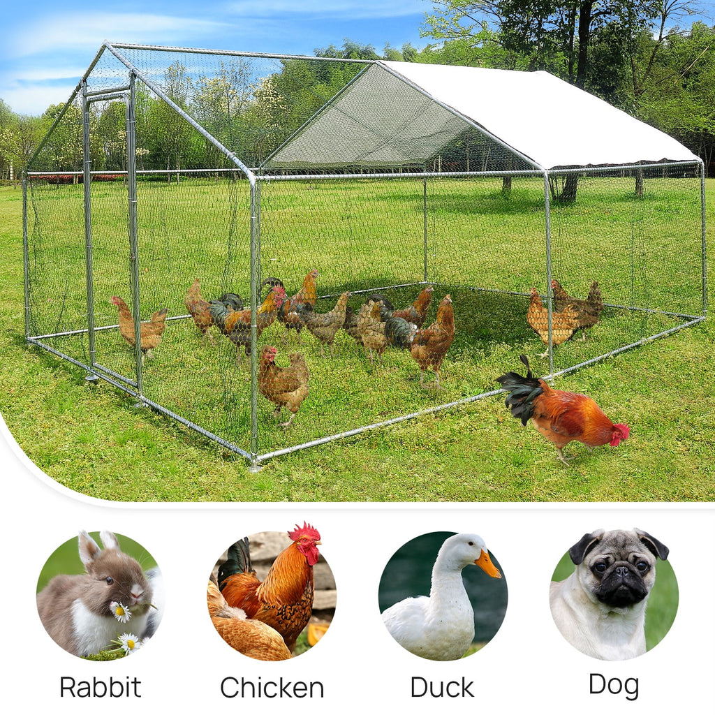 10x10ft Walk in Metal Chicken Coop L729620