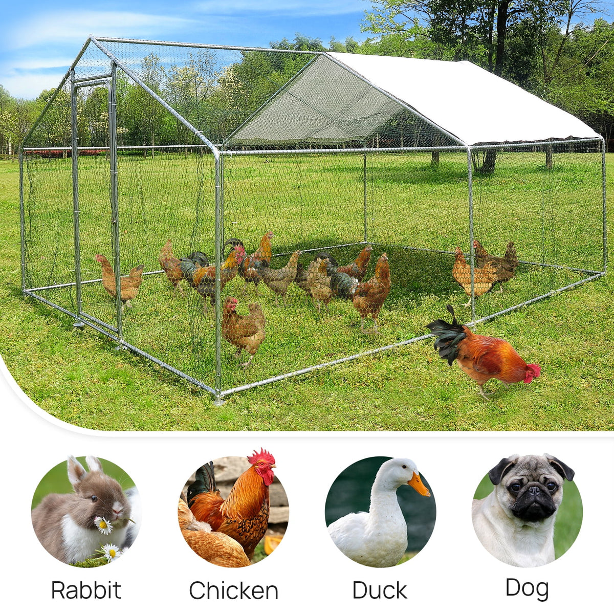 10x10ft Walk in Metal Chicken Coop L729620