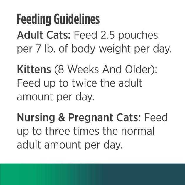 Chicken Cat Wet Food 2.8 oz I3468