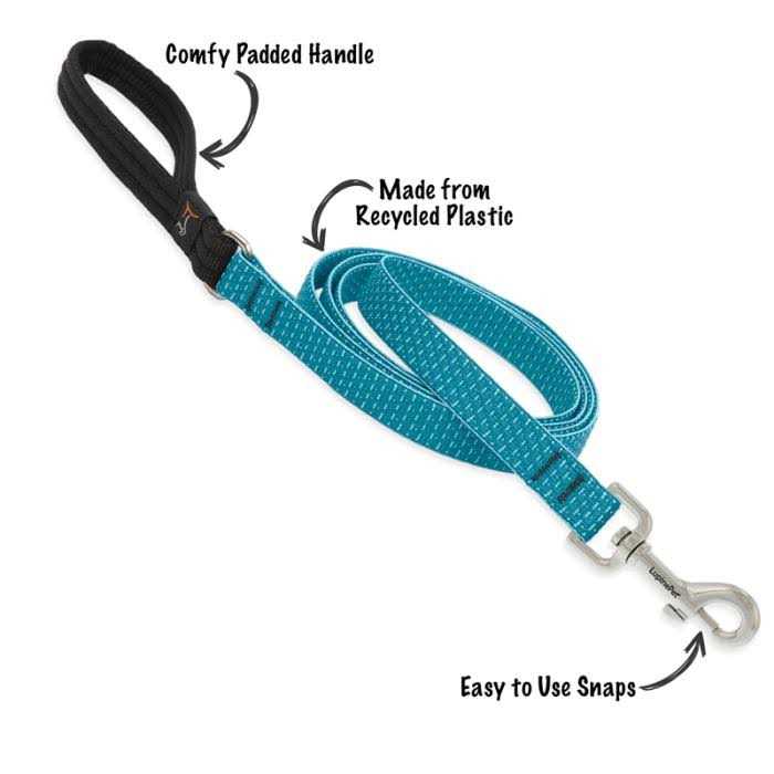 Dog Collar X340888