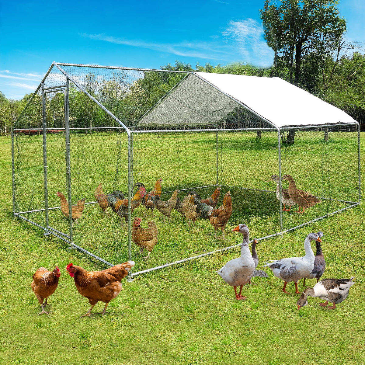 10x10ft Walk in Metal Chicken Coop L729620