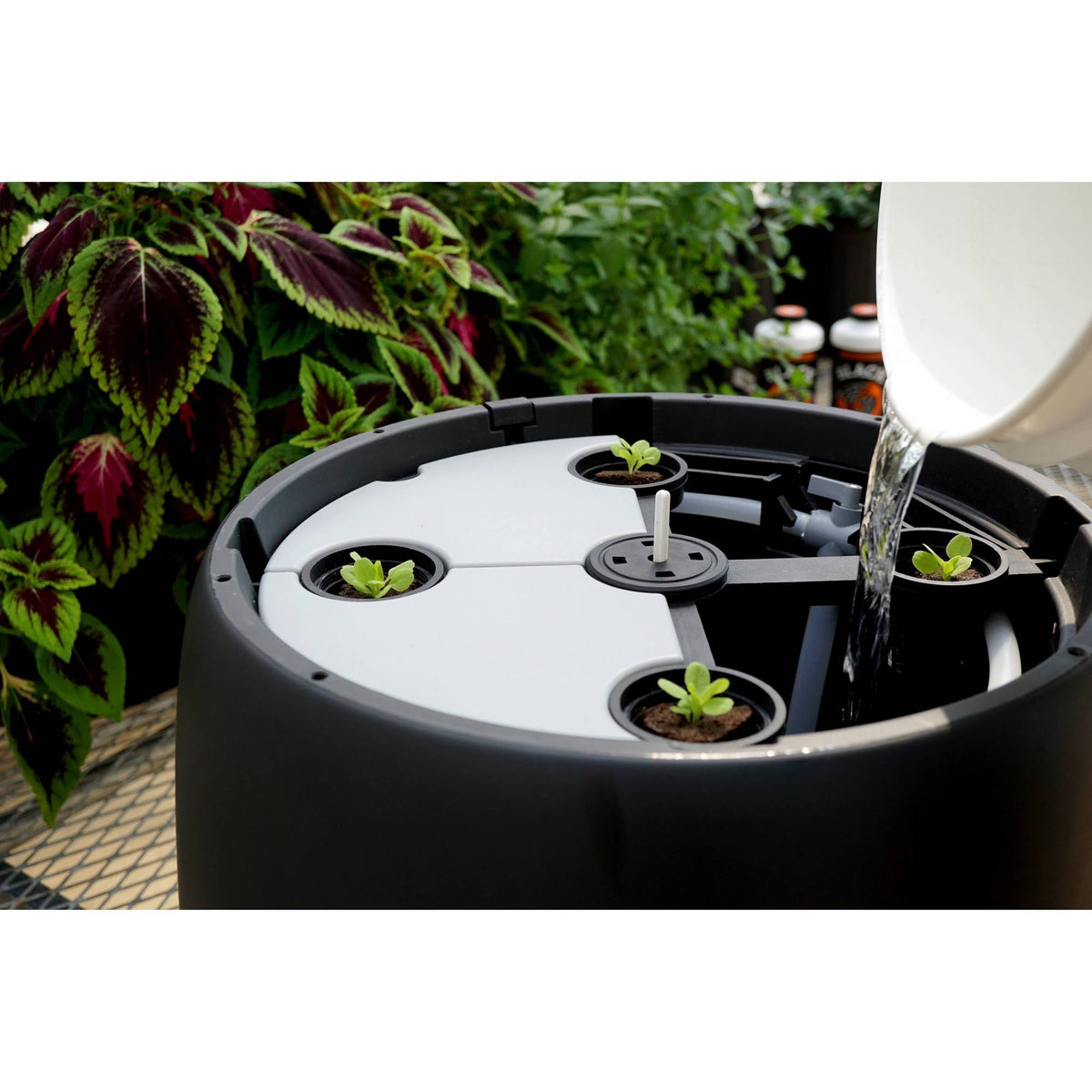 Black Magic Grow Pail V961