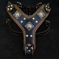 Dog Leather Harness Q6626