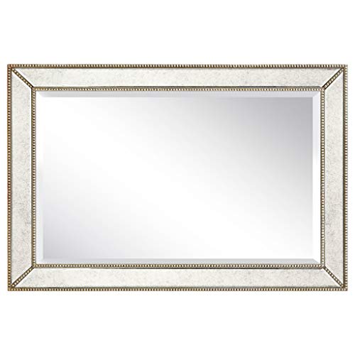 1"-Beveled Center Antique Mirror, Solid Wood Frame, 24" x 54", Champagne J651347