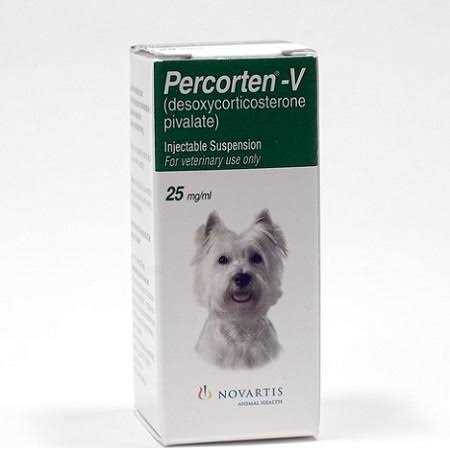 Injectable for Dogs N531018