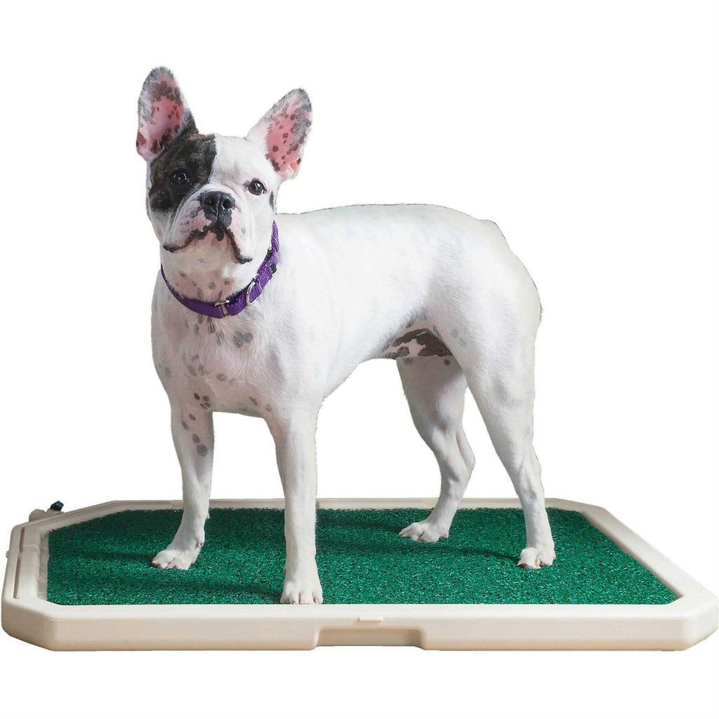 No-Pull Front Attachment Dog Harness D6595