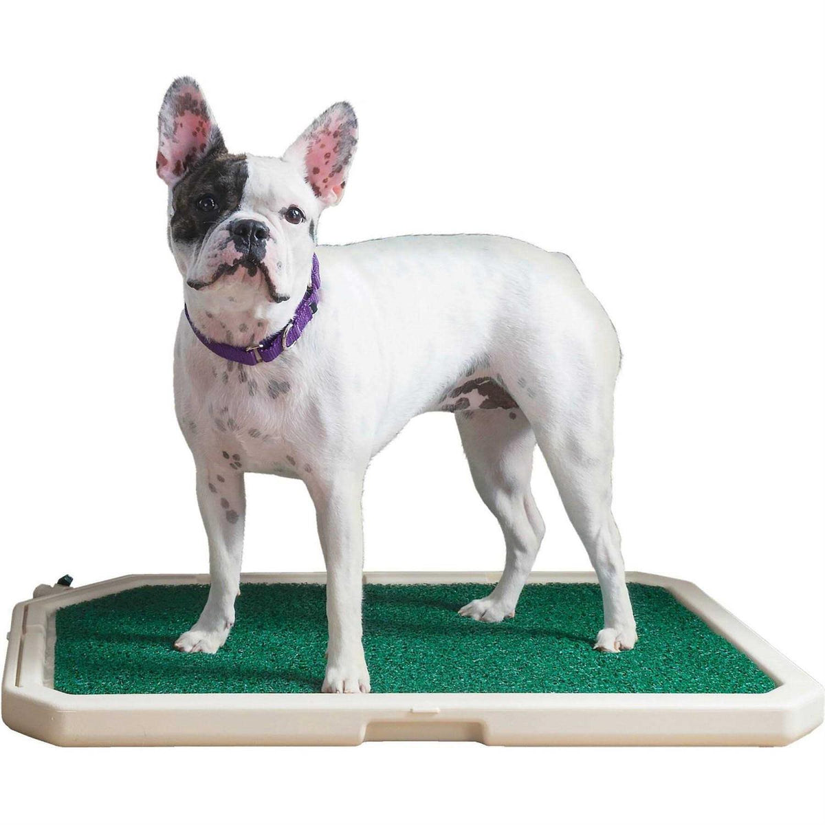 No-Pull Front Attachment Dog Harness D6595