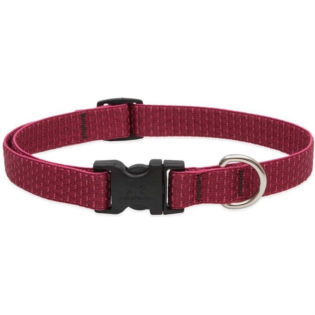 Dog Collar X340888
