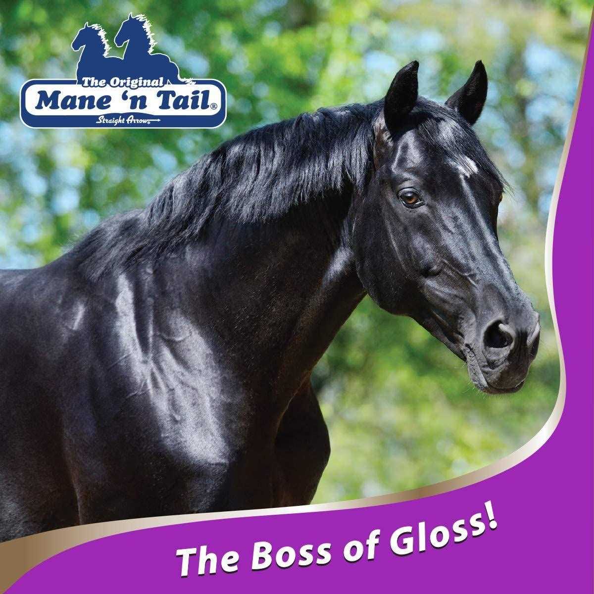Gloss Conditioner T117