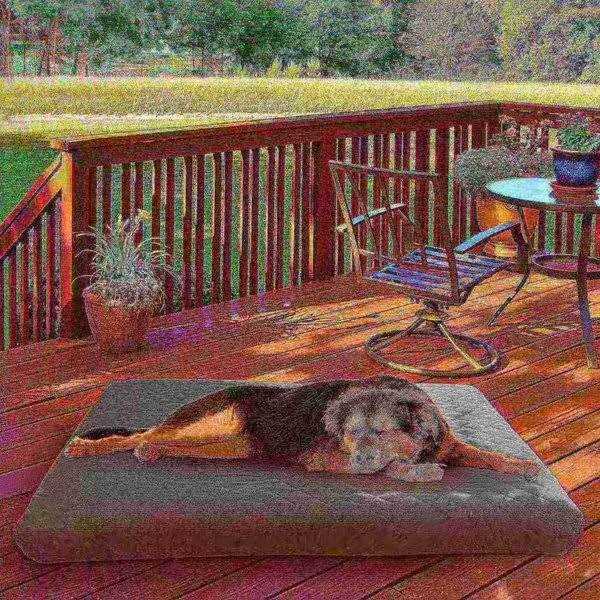 Waterproof Indoor/Outdoor Memory Foam Pet Bed H64185