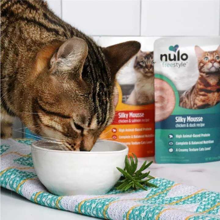 Chicken Cat Wet Food 2.8 oz I3468
