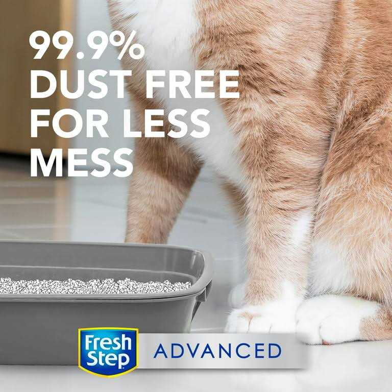 Unscented Clumping Cat Litter L33249