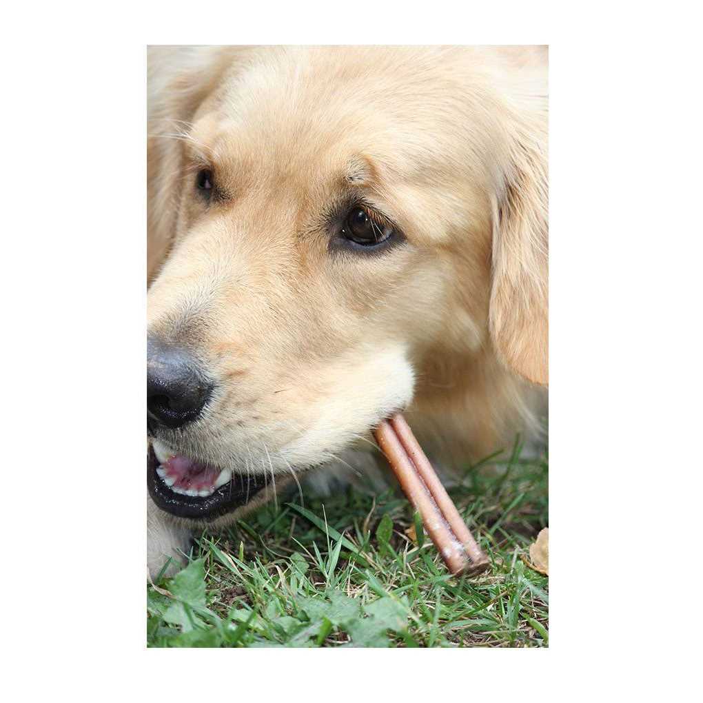 Bully Sticks For Medium Dogs S37582