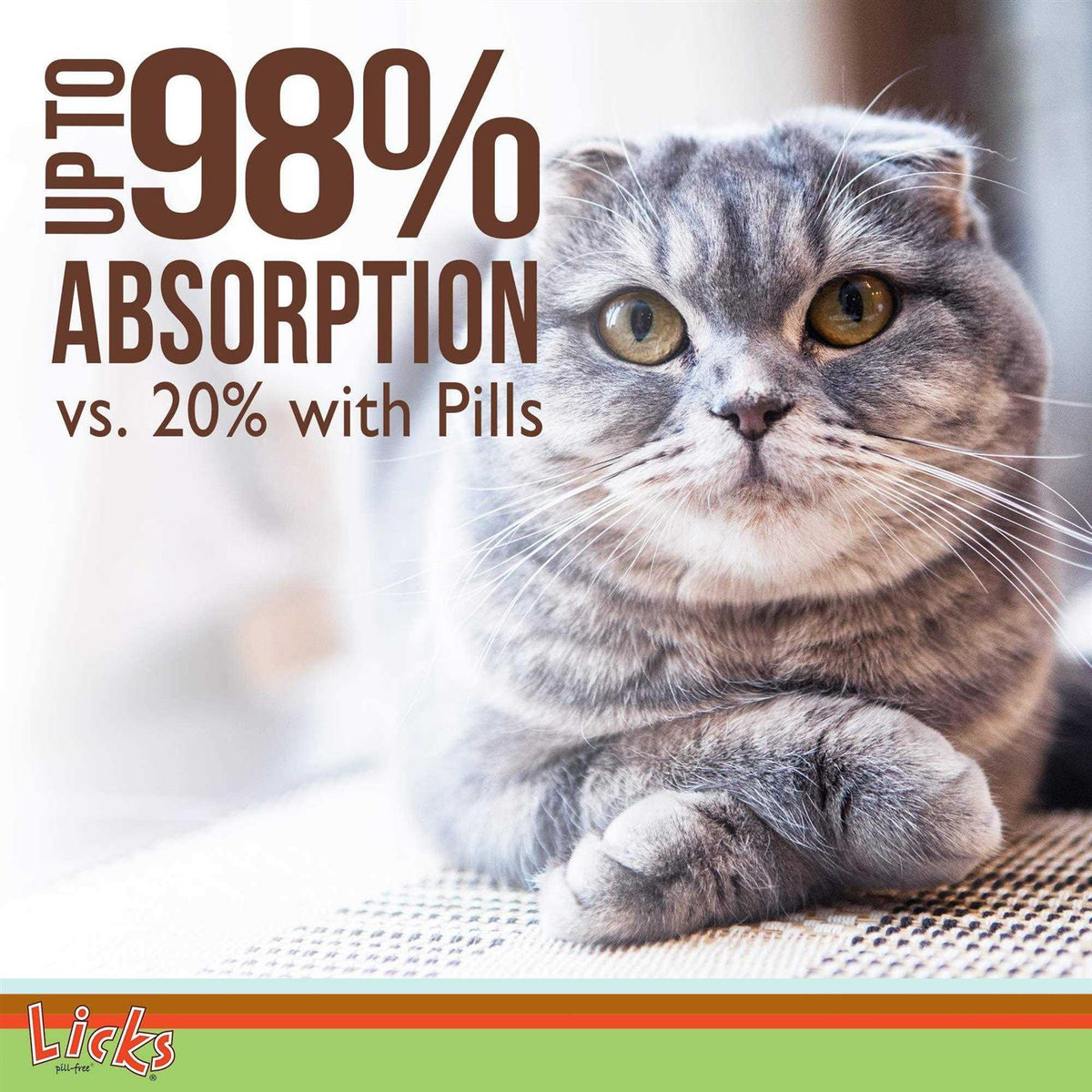 Senior Cat Joint Support & Digestion Supplement A881714
