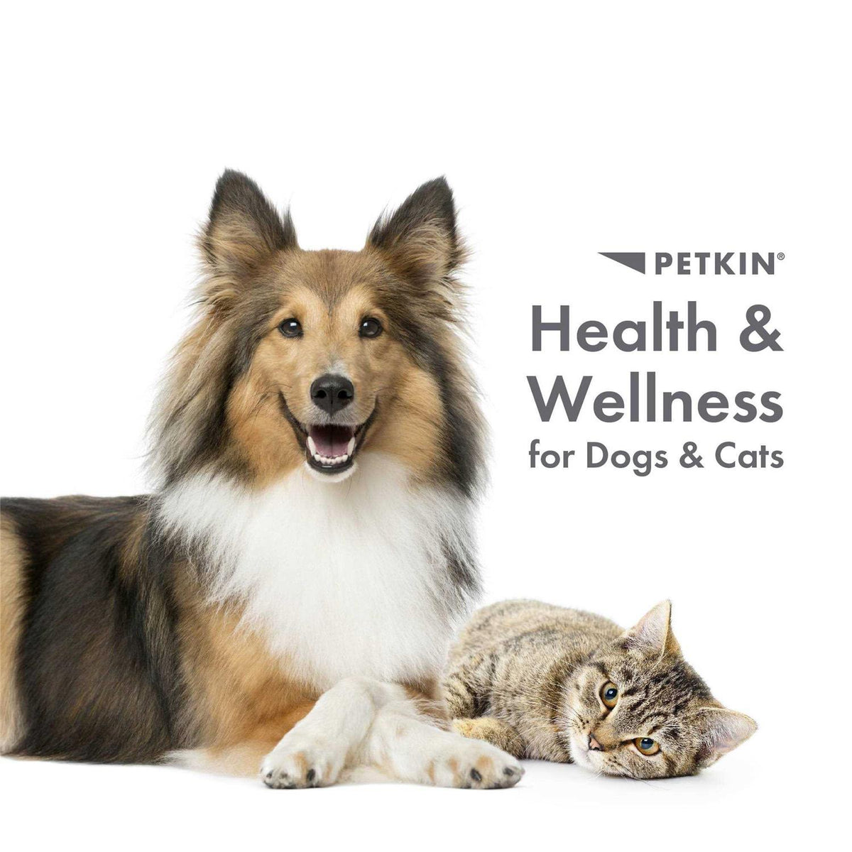 Fingertip Tooth Wipes for Dogs and Cats 50 Finger Wipes Z723750