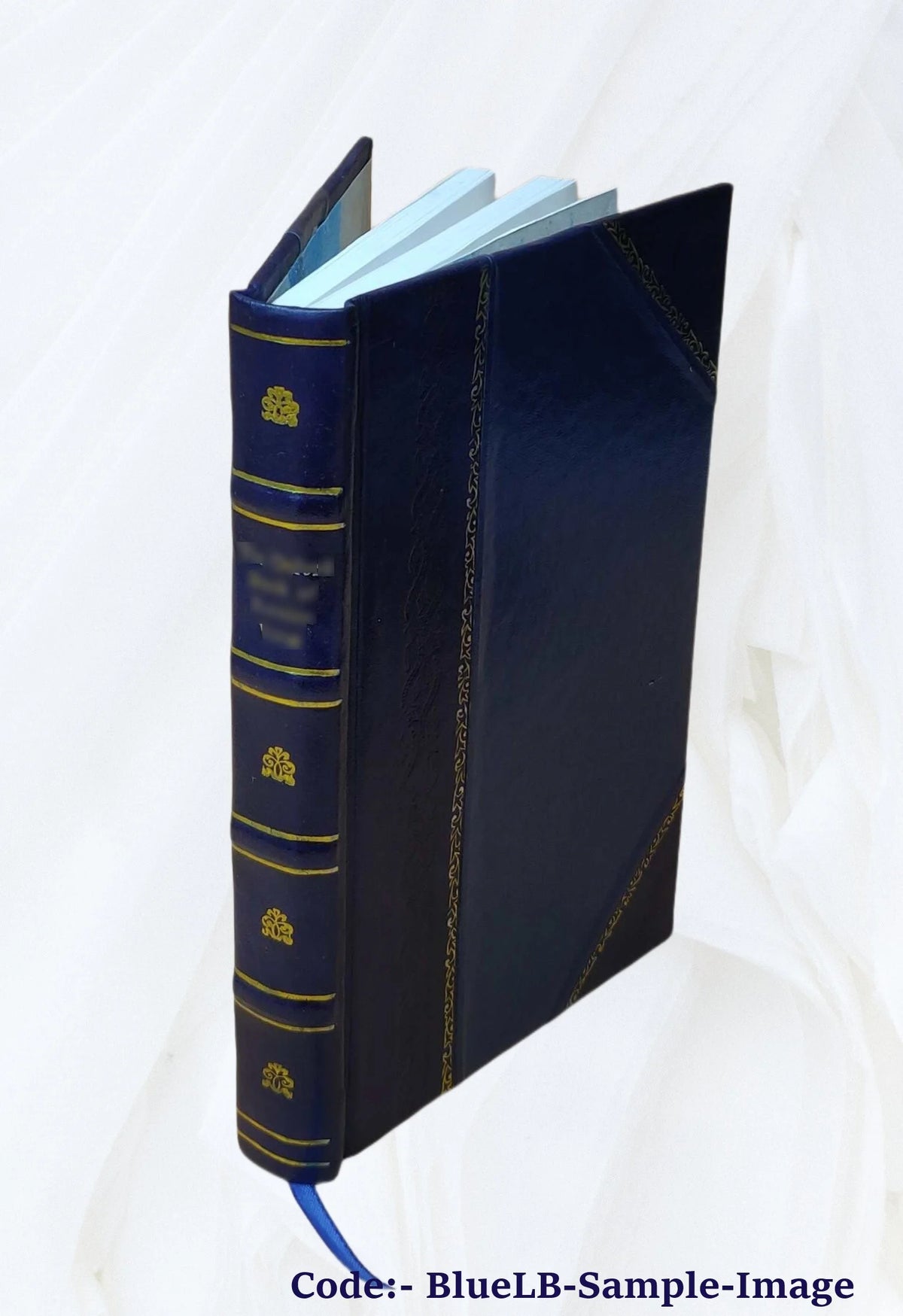 Leather Bound Book M353964