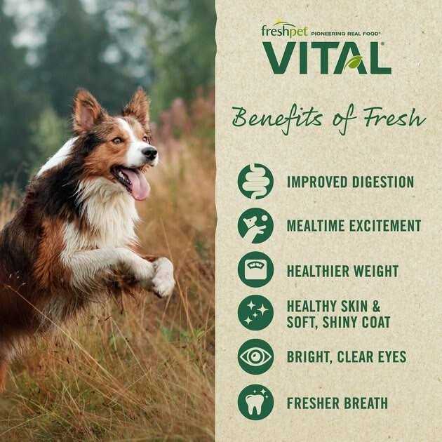 Grain-Free Chicken Fresh Small Breed Dog Food R5978