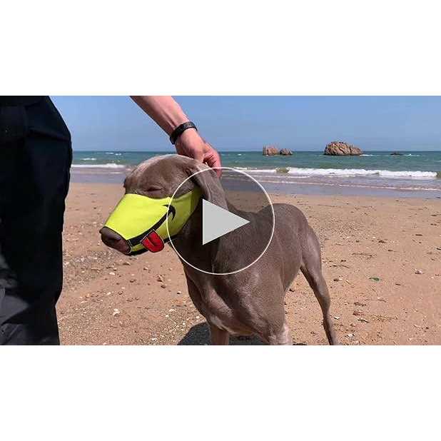 Dog Muzzle with Soft Breathable Air Mesh Nylon U145663