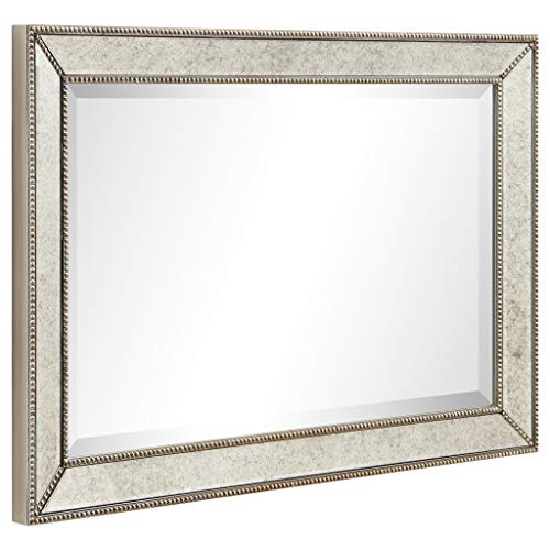 1"-Beveled Center Antique Mirror, Solid Wood Frame, 24" x 54", Champagne J651347