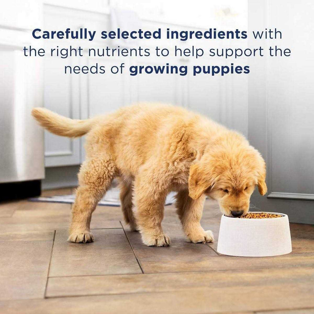 Limited Ingredient Puppy Lamb & Brown Rice Dry Dog Food P9848