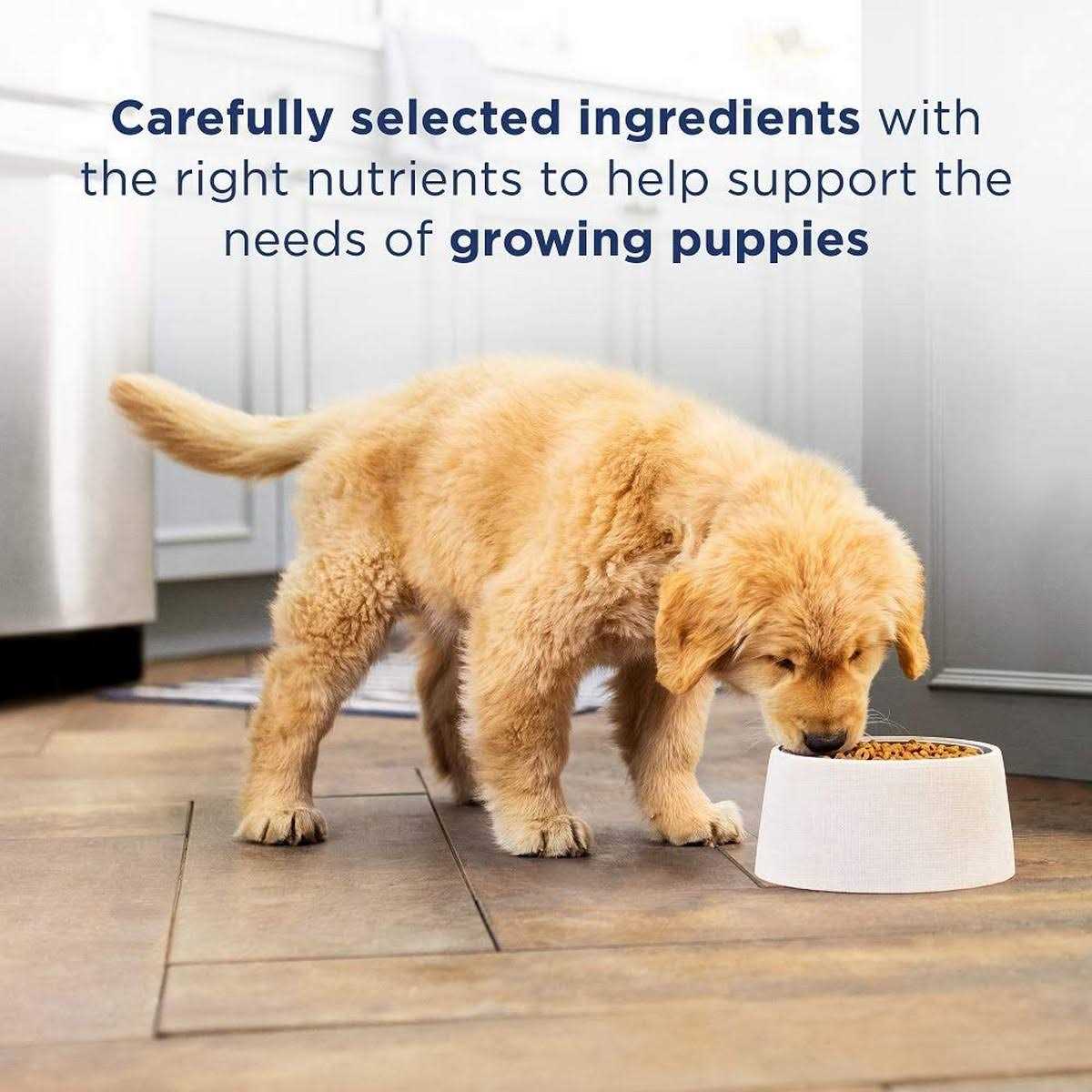 Limited Ingredient Puppy Lamb & Brown Rice Dry Dog Food P9848