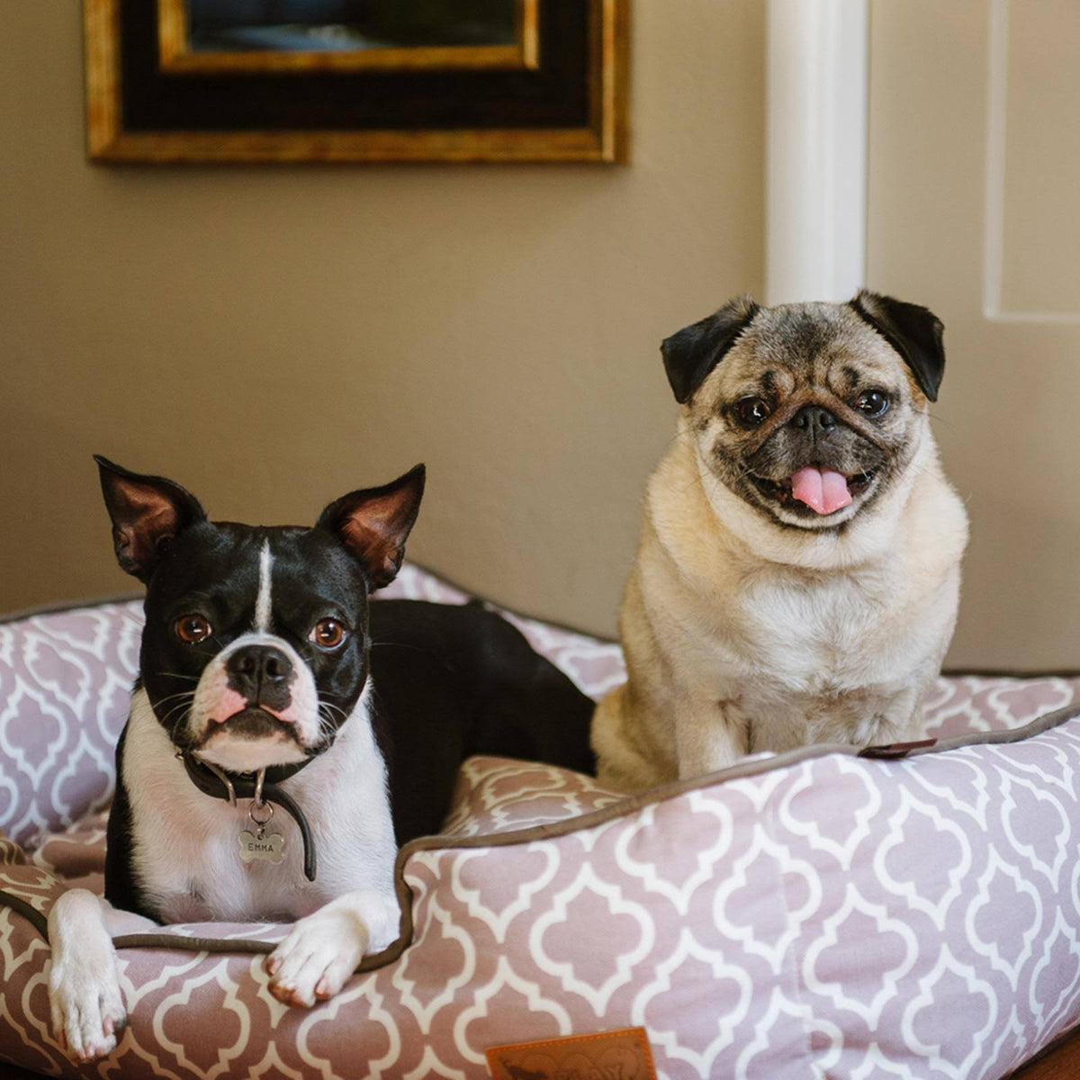 Lounge Pet Bed P915