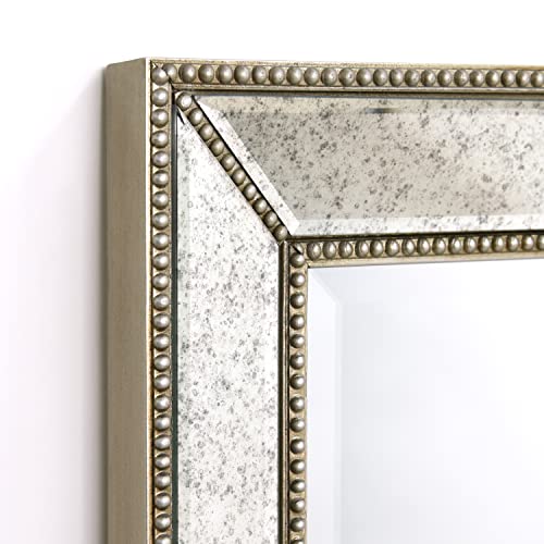 1"-Beveled Center Antique Mirror, Solid Wood Frame, 24" x 54", Champagne J651347