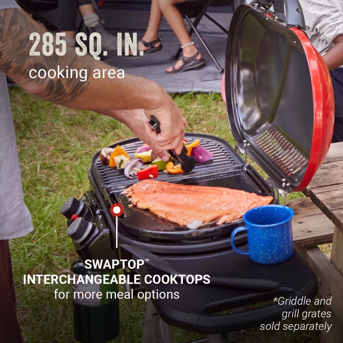 2 Burner Propane Gas Portable Grill U8381