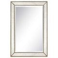 1"-Beveled Center Antique Mirror, Solid Wood Frame, 24" x 54", Champagne J651347