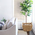 3 Piece Waterhyacinth Cachepot Set Y333