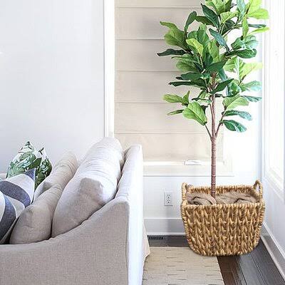 3 Piece Waterhyacinth Cachepot Set Y333