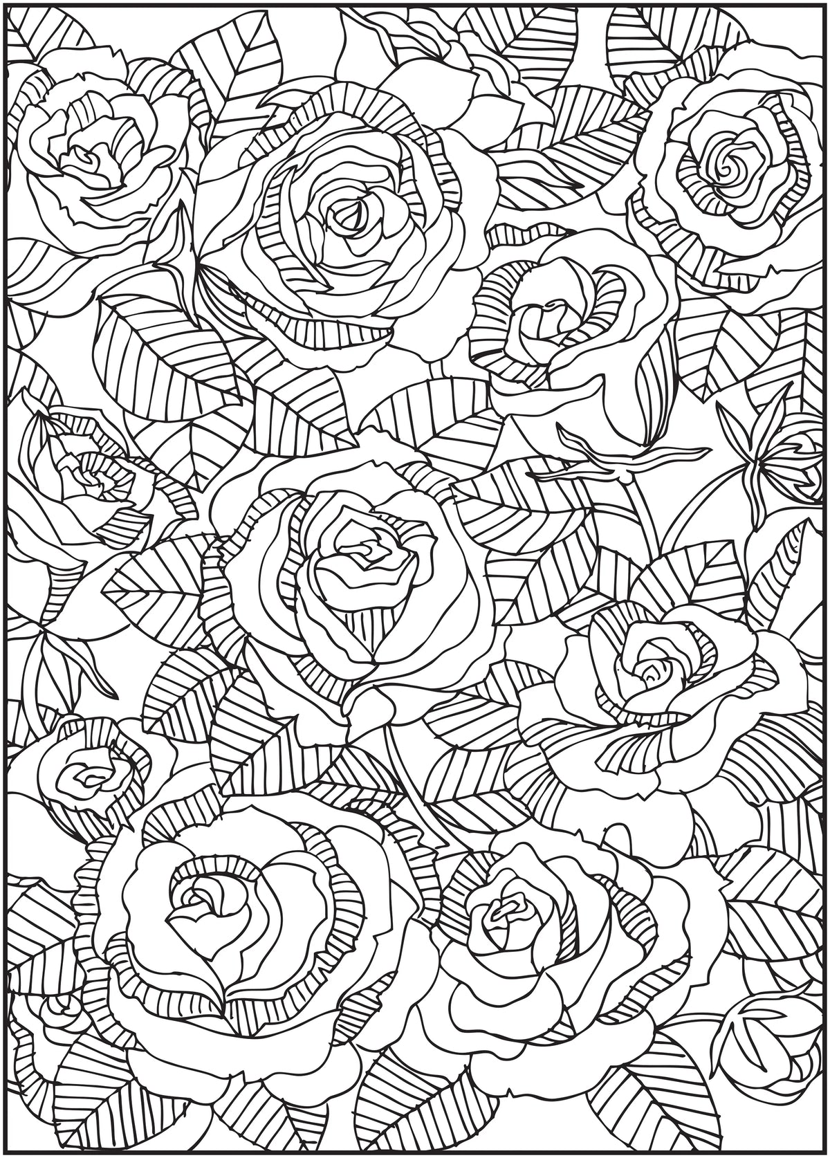 64 Pages Adult Coloring Book Q8978
