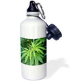 21 oz Sports Water Bottle D302732