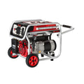 Gasoline Generator U314