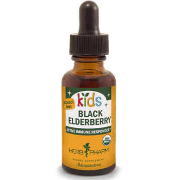 Kids Black Elderberry Alcohol-Free 1 fl oz P40798