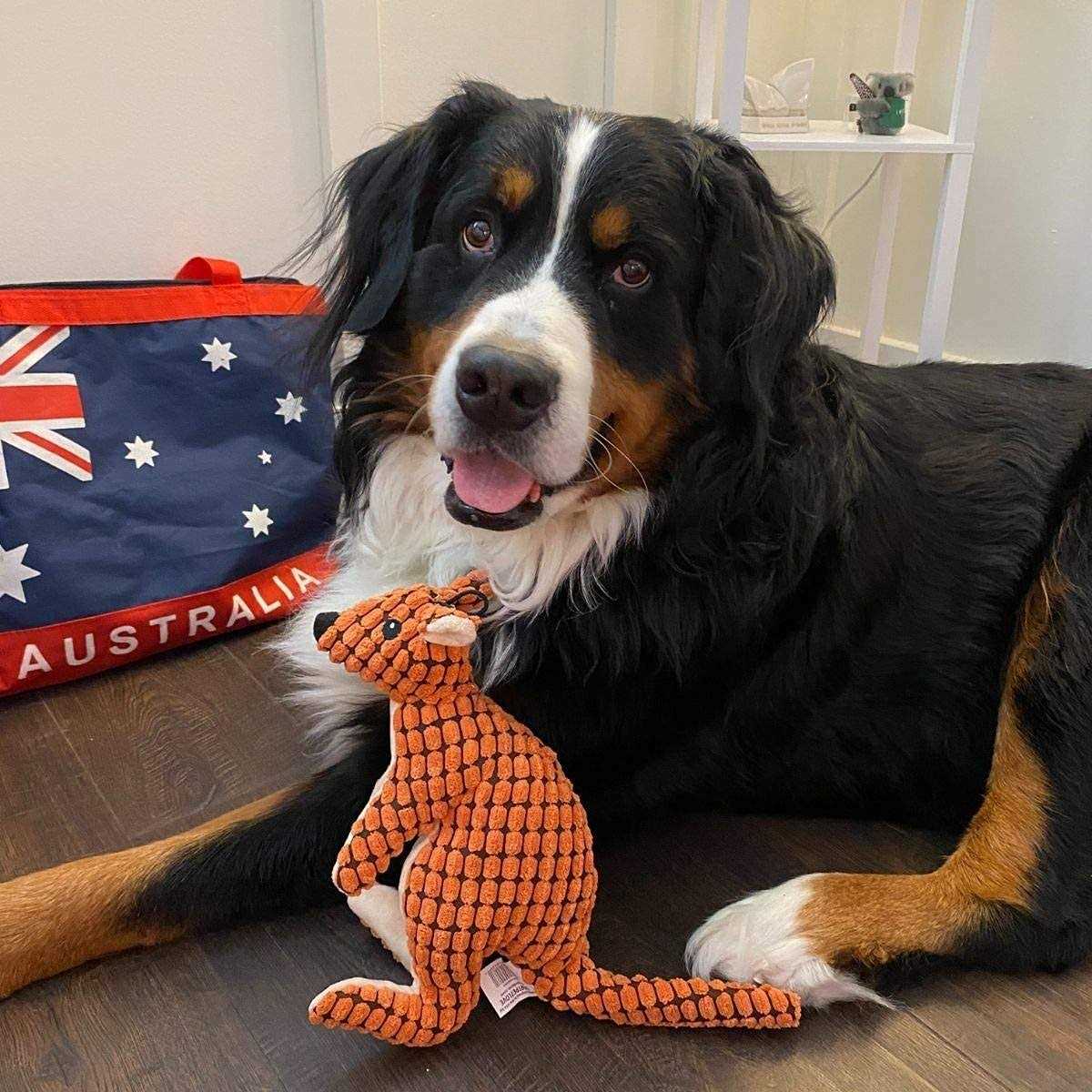 Stuffed Plush Squeaky Dog Toy X680911