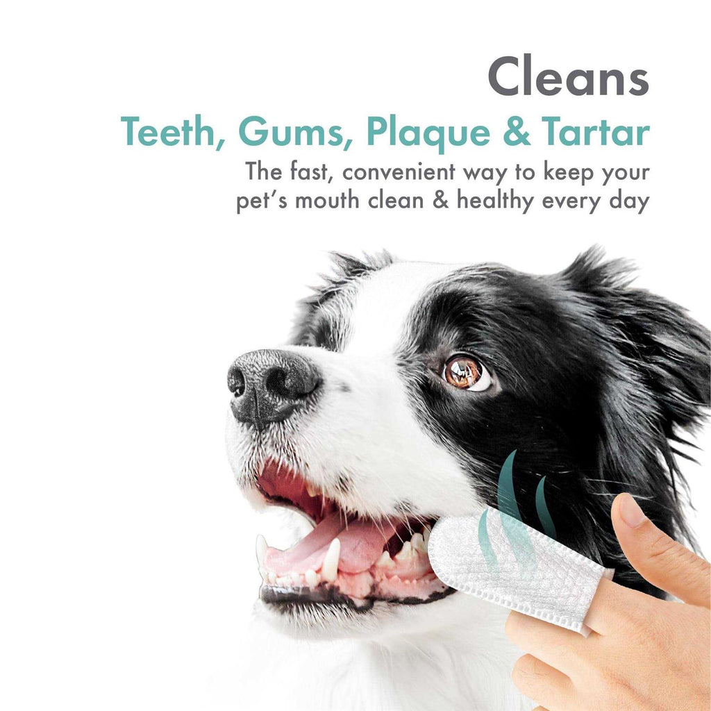 Fingertip Tooth Wipes for Dogs and Cats 50 Finger Wipes Z723750