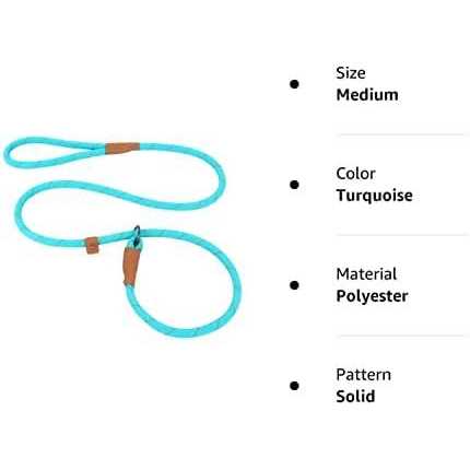 Reflective Mountain Climbing Rope Slip Lead Dog Leash P58965