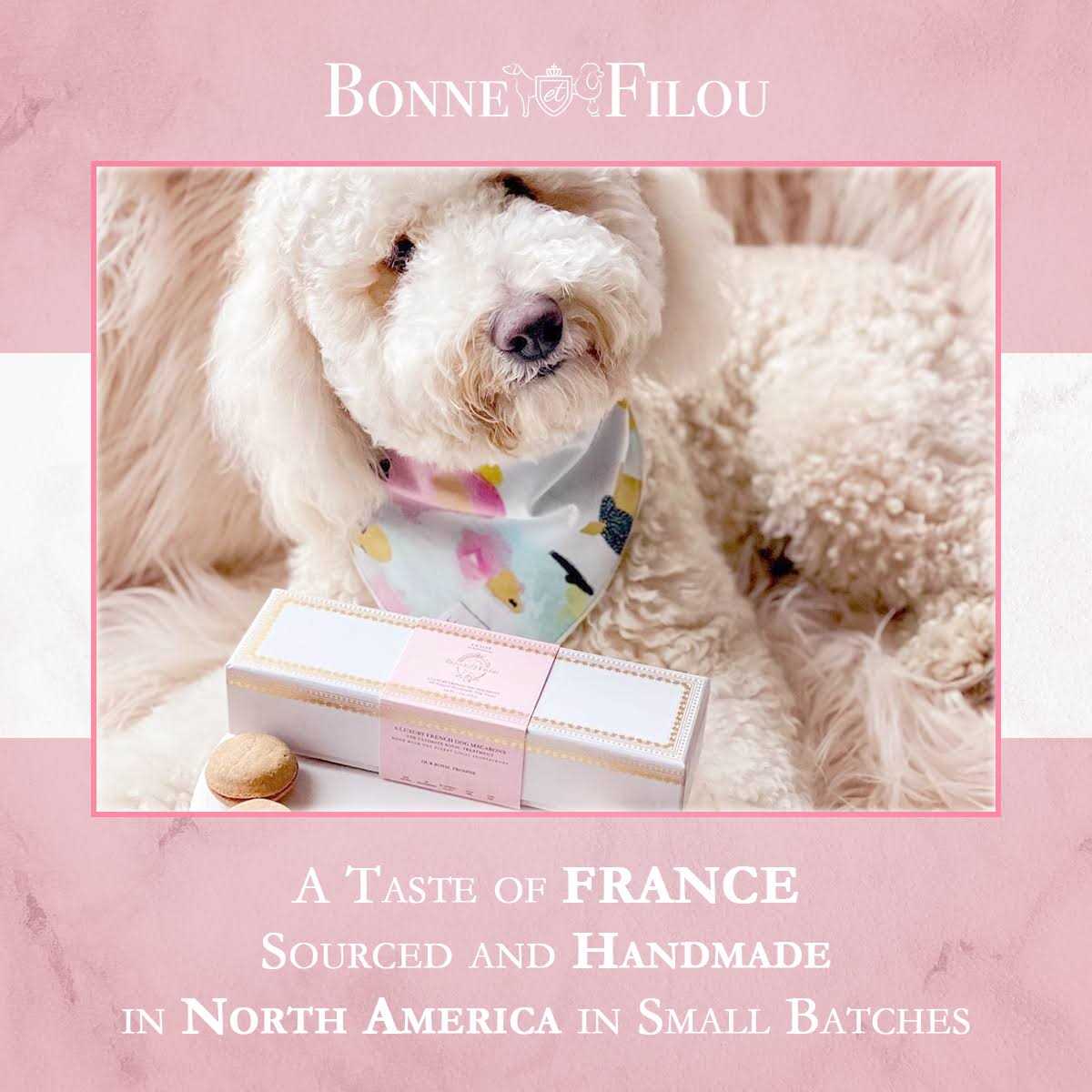 Dog Macarons K613193