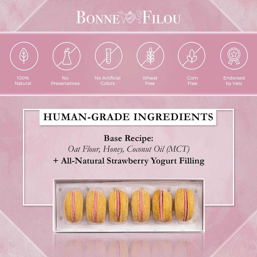Dog Macarons K613193