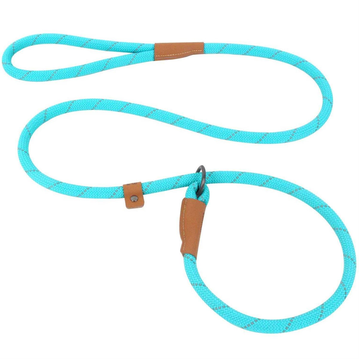 Reflective Mountain Climbing Rope Slip Lead Dog Leash P58965